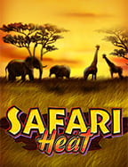 วิธีเล่น เว็บ พนัน ออนไลน์ ที่คุณไม่ควรพลาด